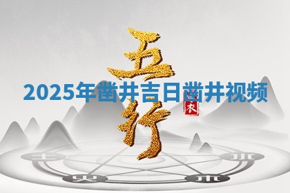 2025年凿井吉日 😟 凿井 💦 视频