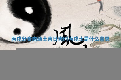 丙戌分金向 🏽 动土吉日吉时 🛩 _丙戌土是什么意思