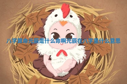 八字算 🤧 命元辰 🔪 是什么命啊 元辰在八字里什么意思