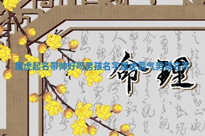 属虎起名带帅好吗男孩名 🕟 字 属虎霸气男孩名字 ♊