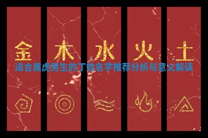 适合 😙 属虎男生的丁姓名字推荐分析与意义解读 🍣